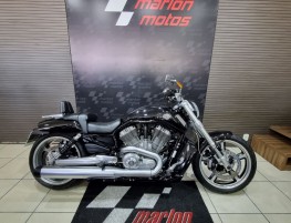 V-ROD 1250cc MUSCLE VRSCF